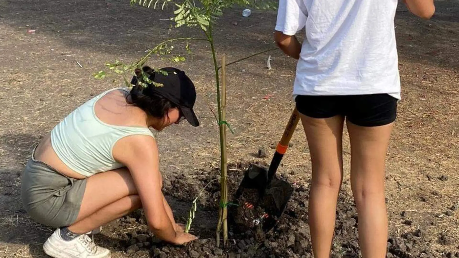 Se-unen-salmantinos-para-reforestar-áreas-verdes-en-Valtierrilla (1)